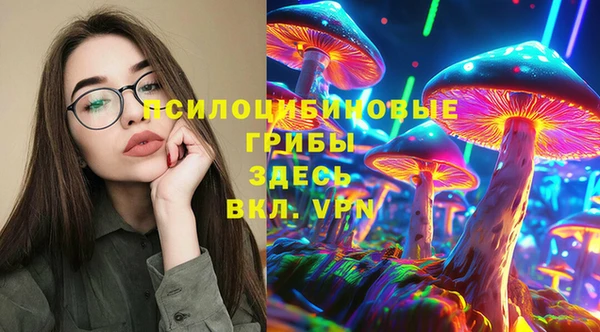 spice Алзамай